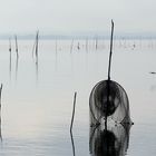 Trasimeno lake 1