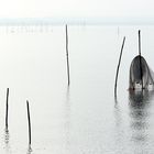 Trasimeno lake 3