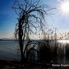 Trasimeno: tramonto