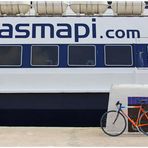 trasmapi.com