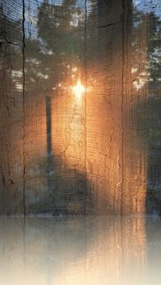 Trasparenze settembrine...