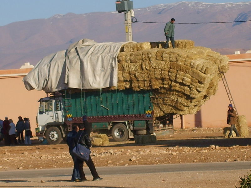 trasporti eccezionali