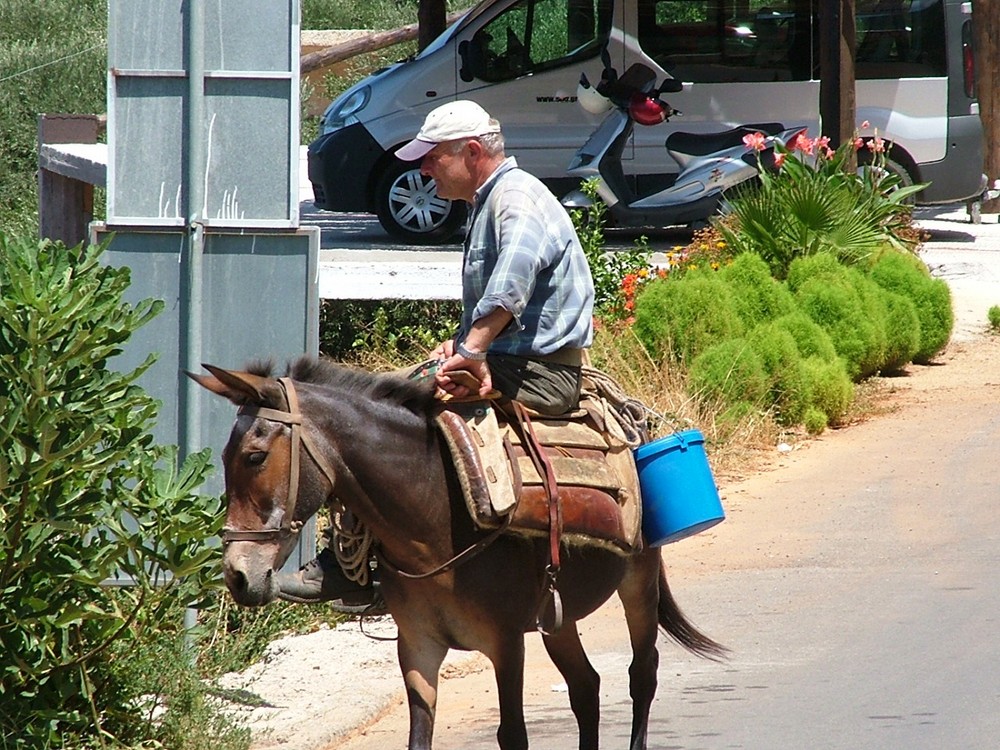 "Trasporto ecologico!"