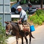 "Trasporto ecologico!"