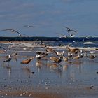  Trassenheide Usedom