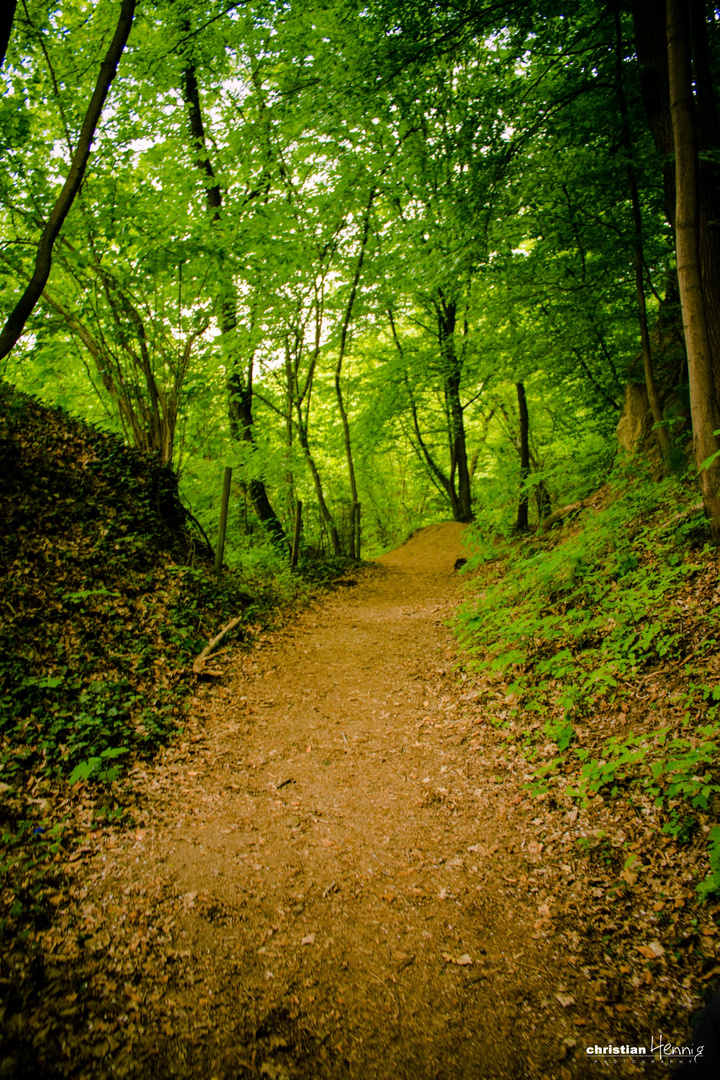 Trasshöhlen bei Burgbrohl 2