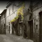 Trastevere