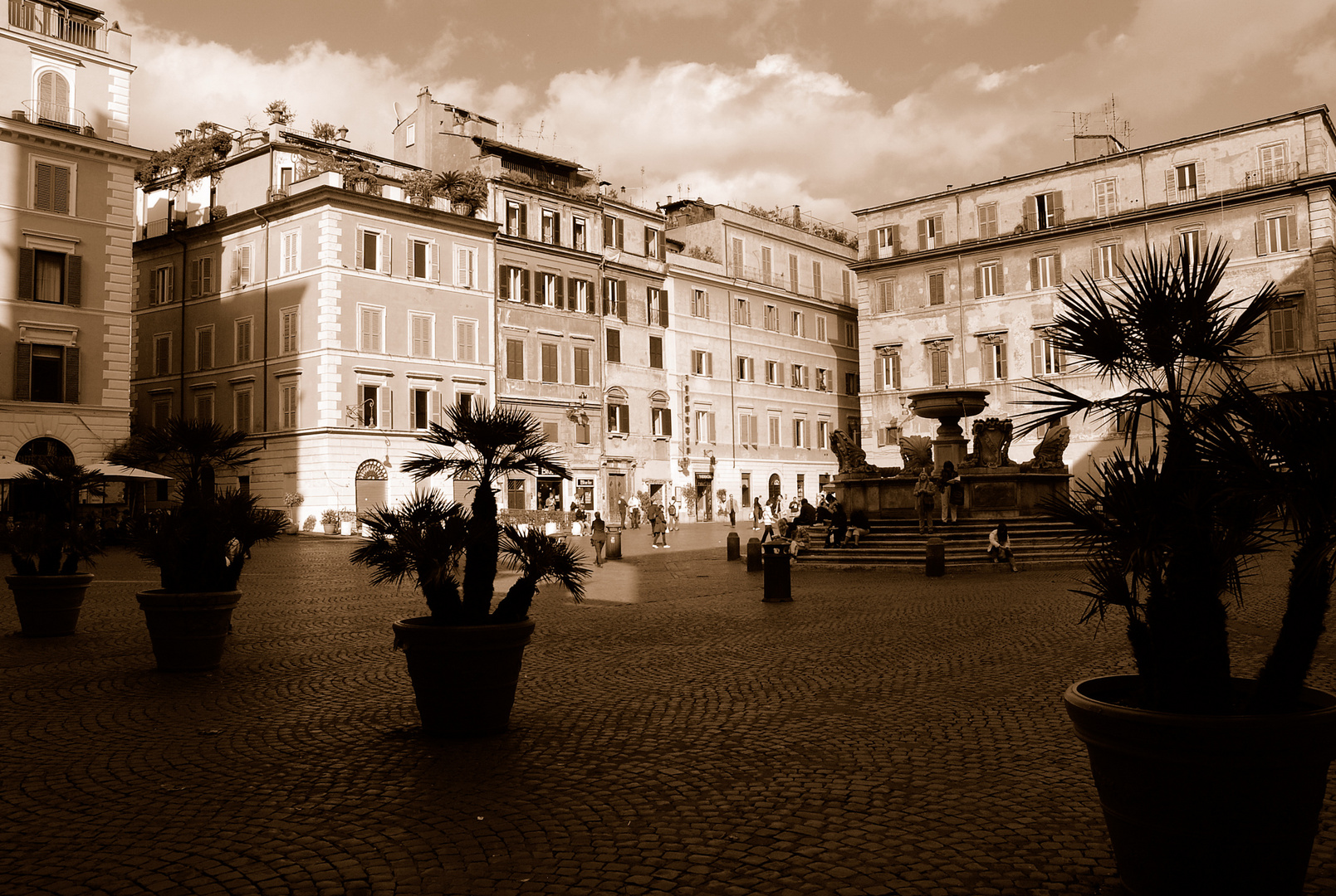 Trastevere II