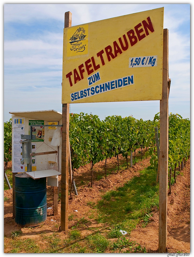 Trauben 2