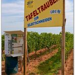 Trauben 2