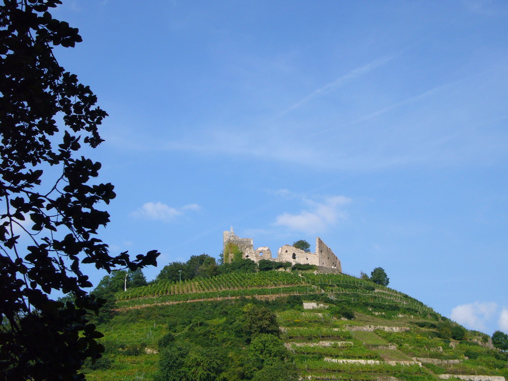 Trauben Burg