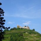 Trauben Burg