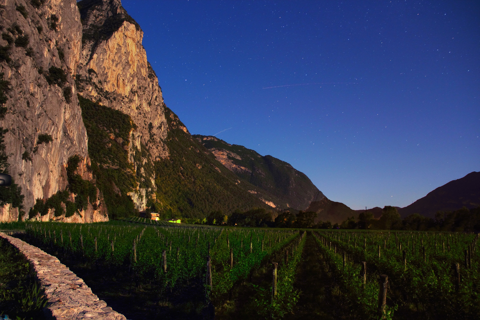 Trauben in der Nacht