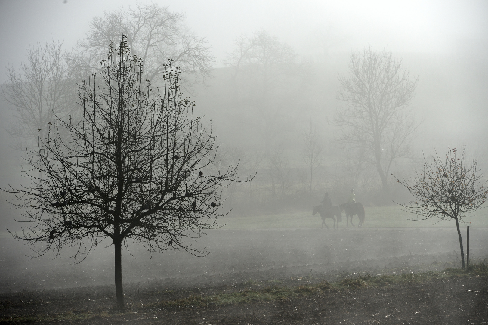 T(r)aubentraum am Morgen