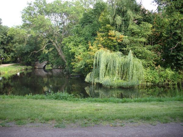 Trauer am Wasser