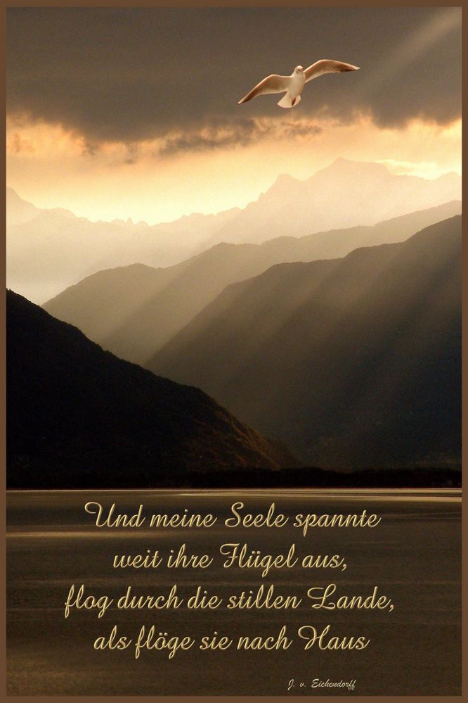 Trauerkarte für Ingrid Foto & Bild | spezial, trauer, trauerkarten