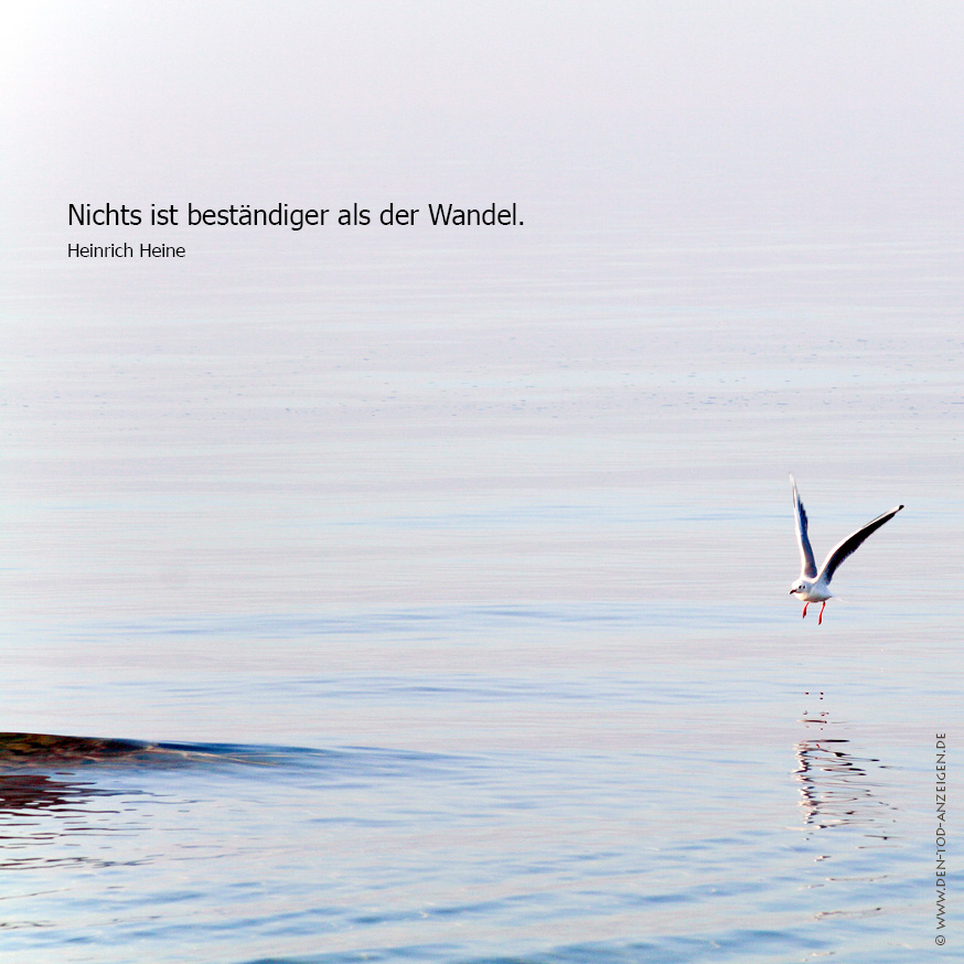 Trauerkarte mit Möwe Foto &amp; Bild trauerkarten, trauer, meer Bilder