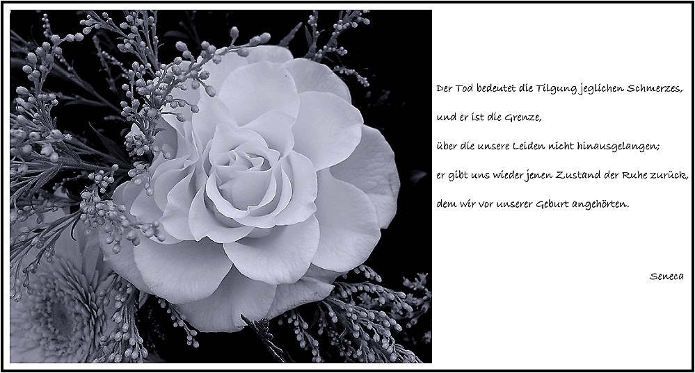 Bilder Trauerkarte: Zeichnen für Trost und Erinnerung