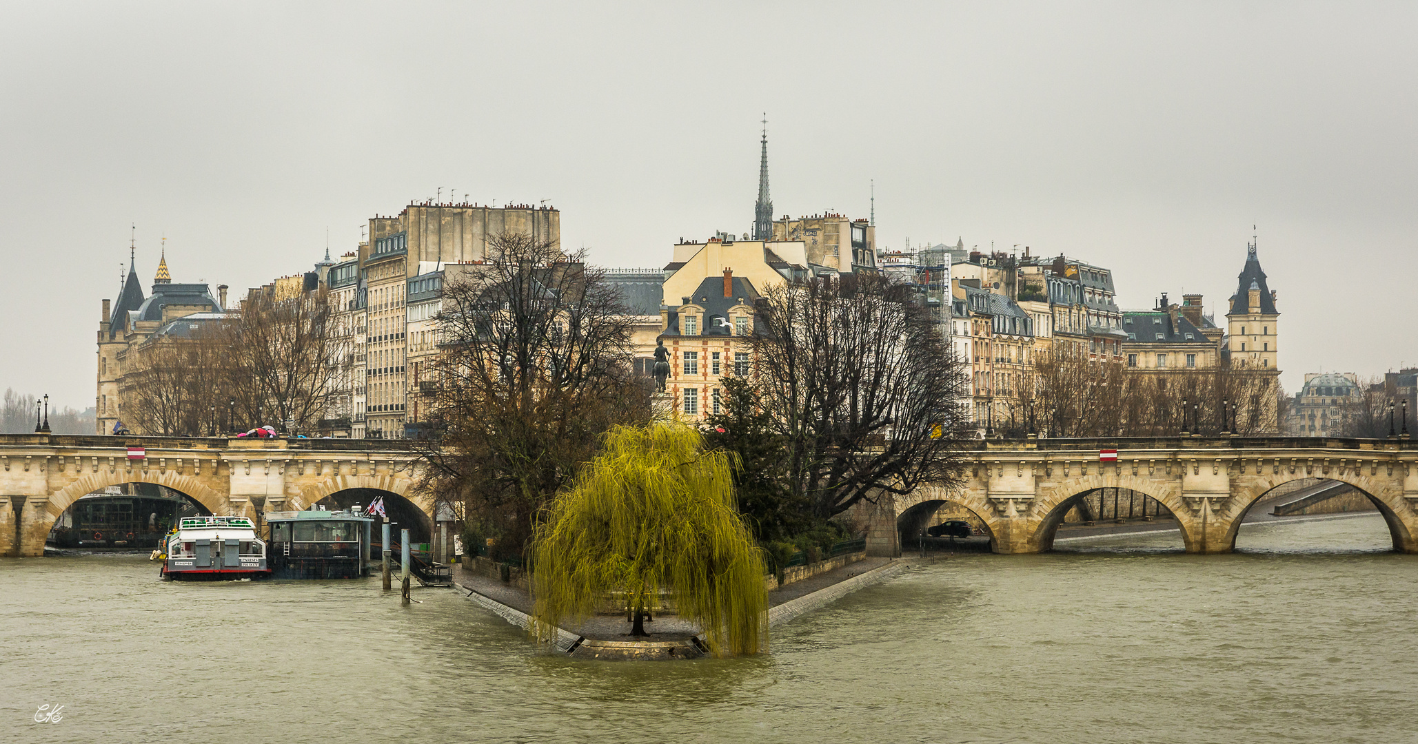 ... Trauerweide auf der Seine ...