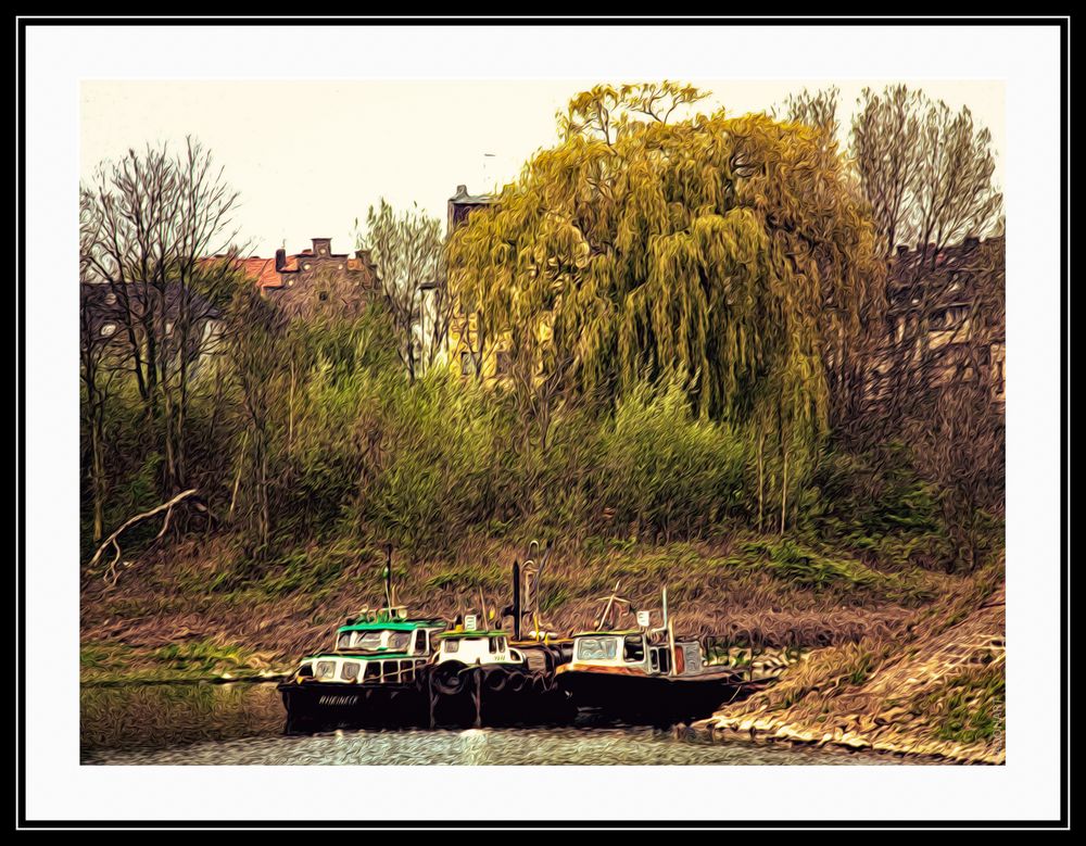 Trauerweide im Duisburger Hafen