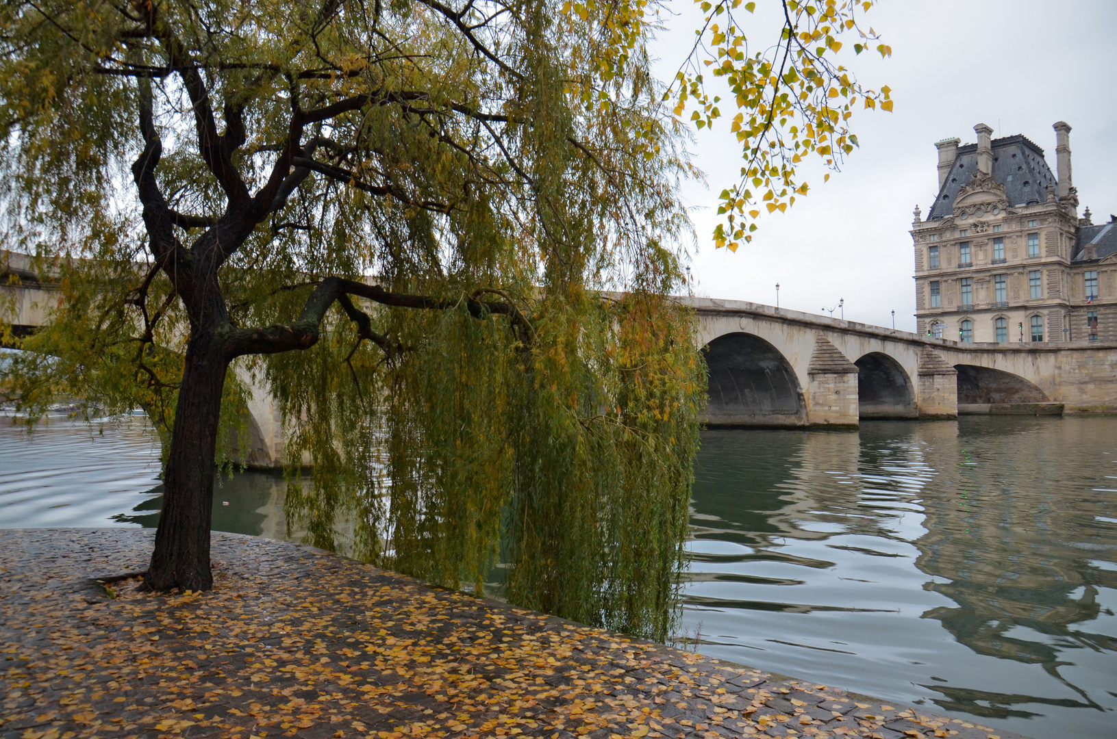 Trauerweide, Seine und Louvre