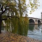 Trauerweide, Seine und Louvre