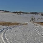 Traugotthöhe auf dem "wilden" Osterzgebirgskamm in größerer Darstellung... 