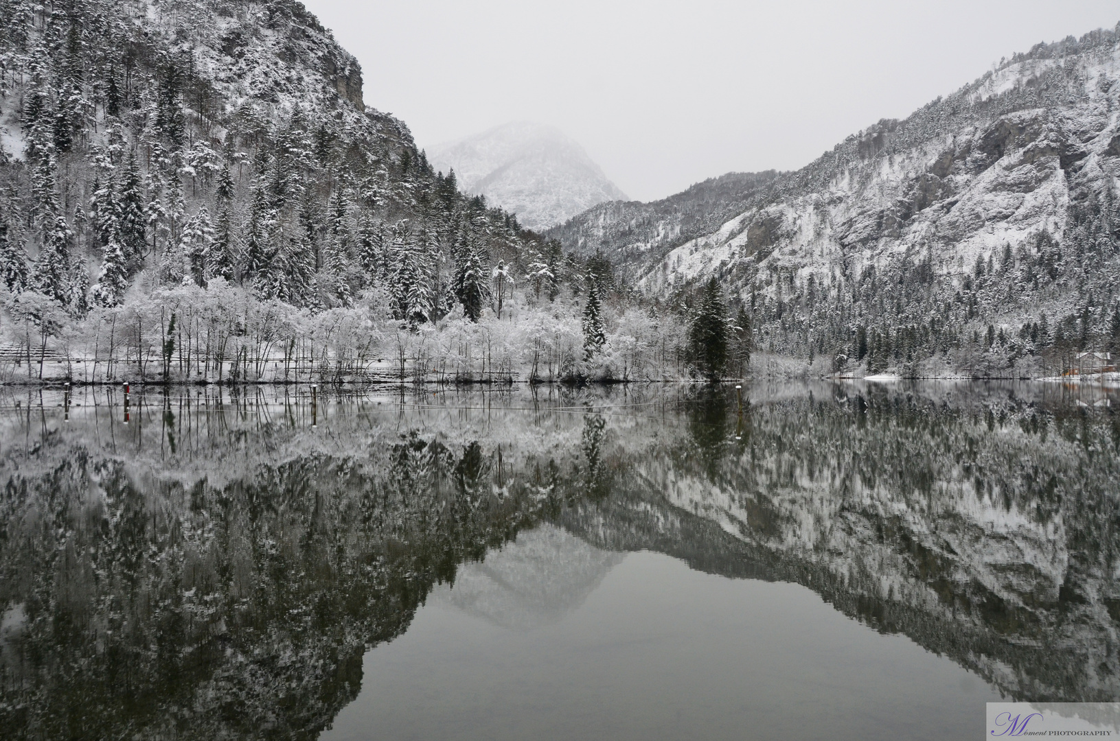 Traum am See