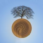 Traum-Baum-Planet