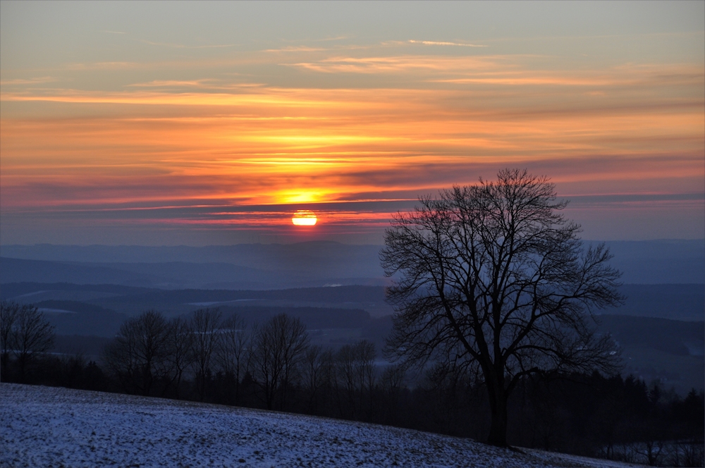 TRAUM - farben