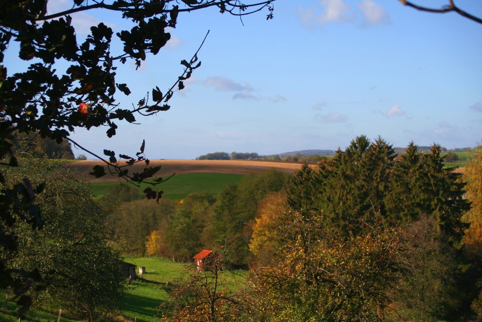 Traum Herbst