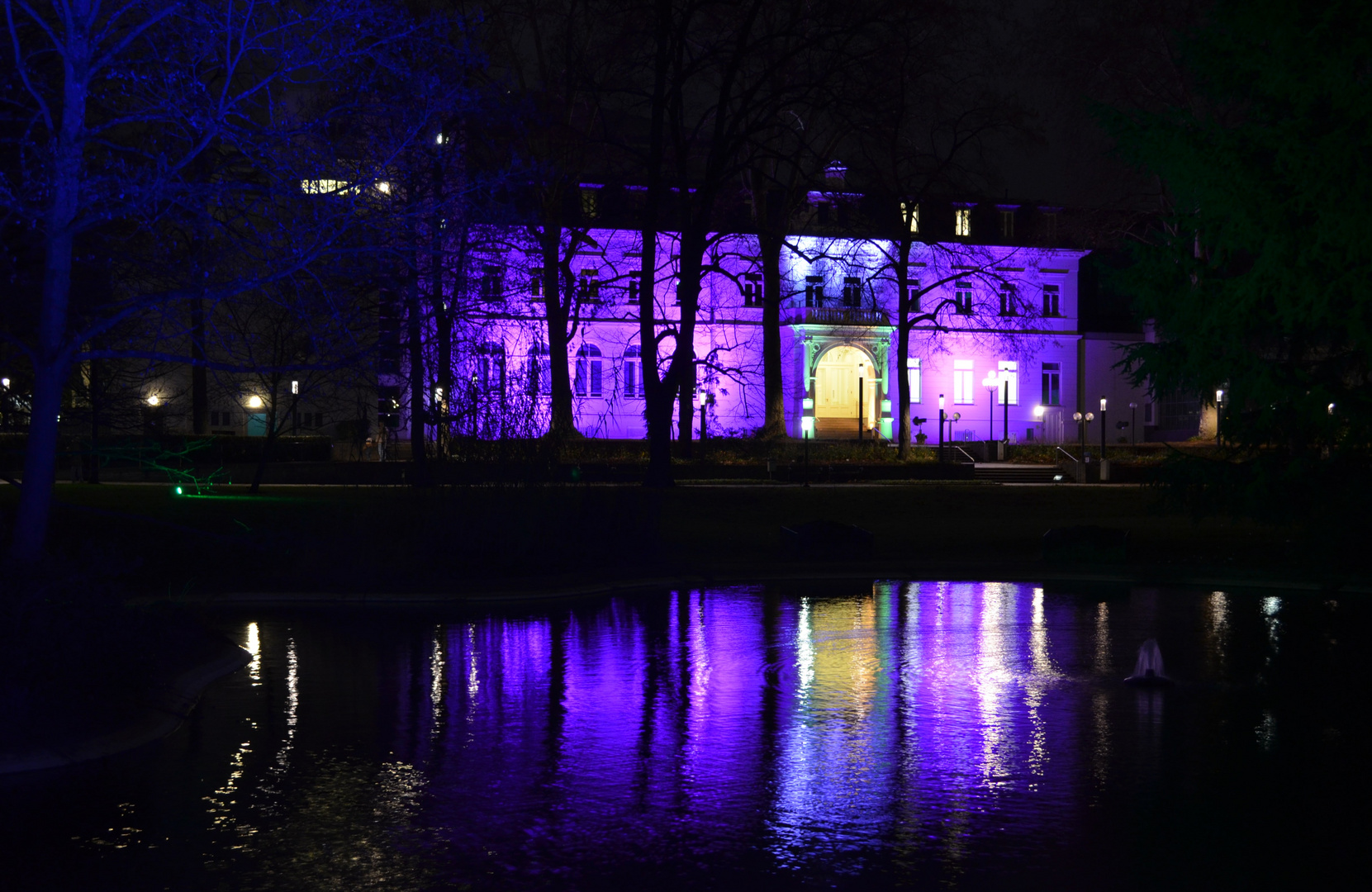 Traum in Lila - Winterlichter