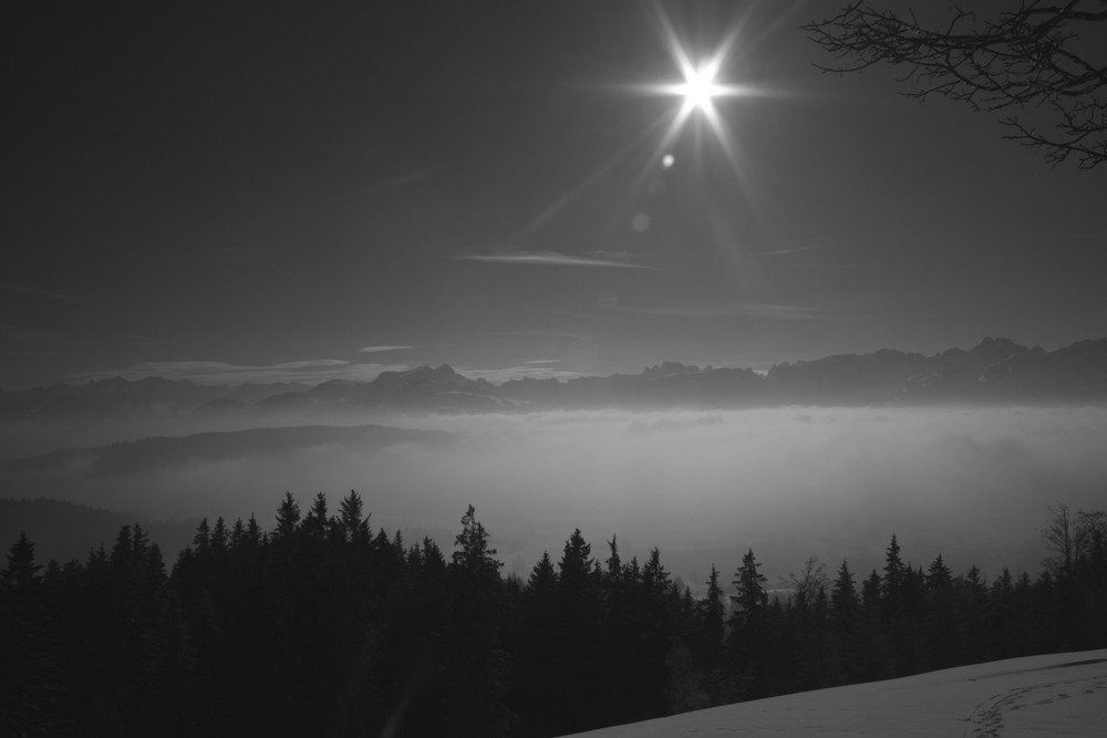 Traum in schwarz-weiss