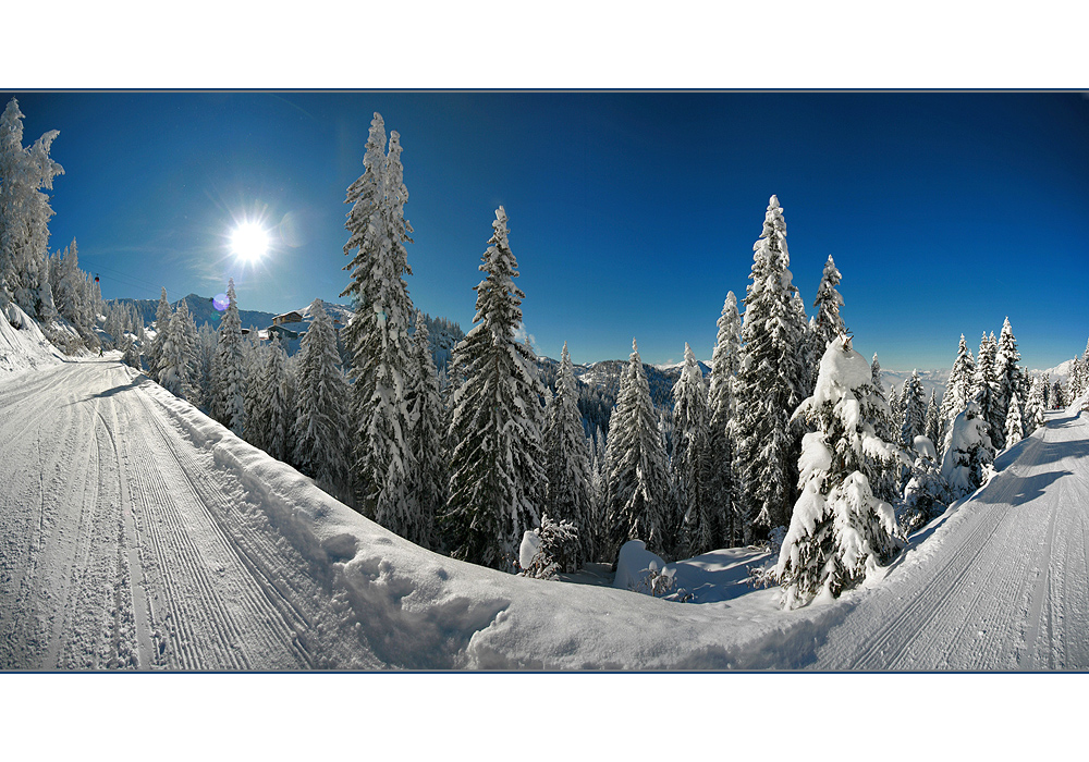 Traum in Weiß und Blau