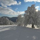 Traum in Weiss und Blau