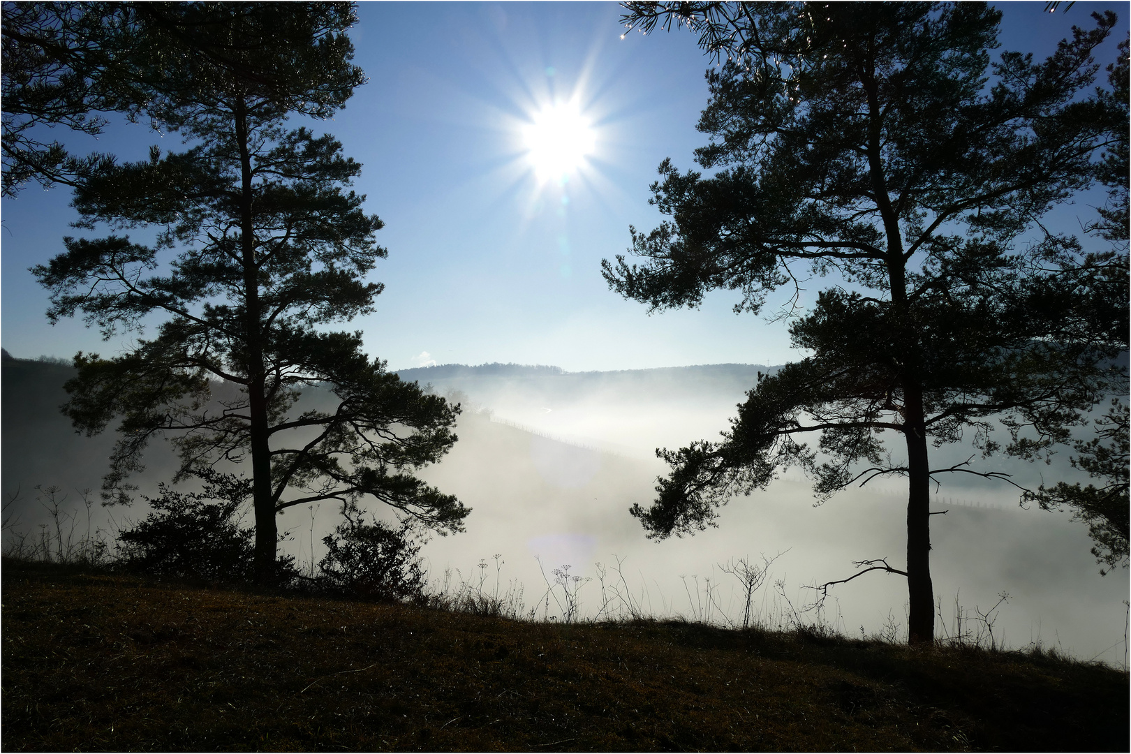 Traum-Landschaft