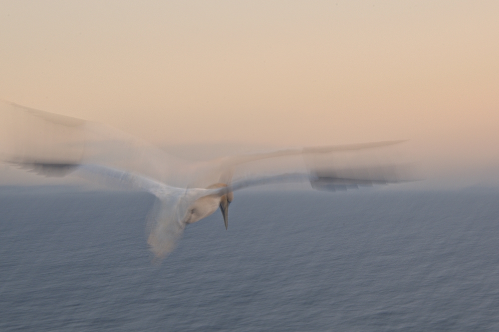 Traum vom Fliegen