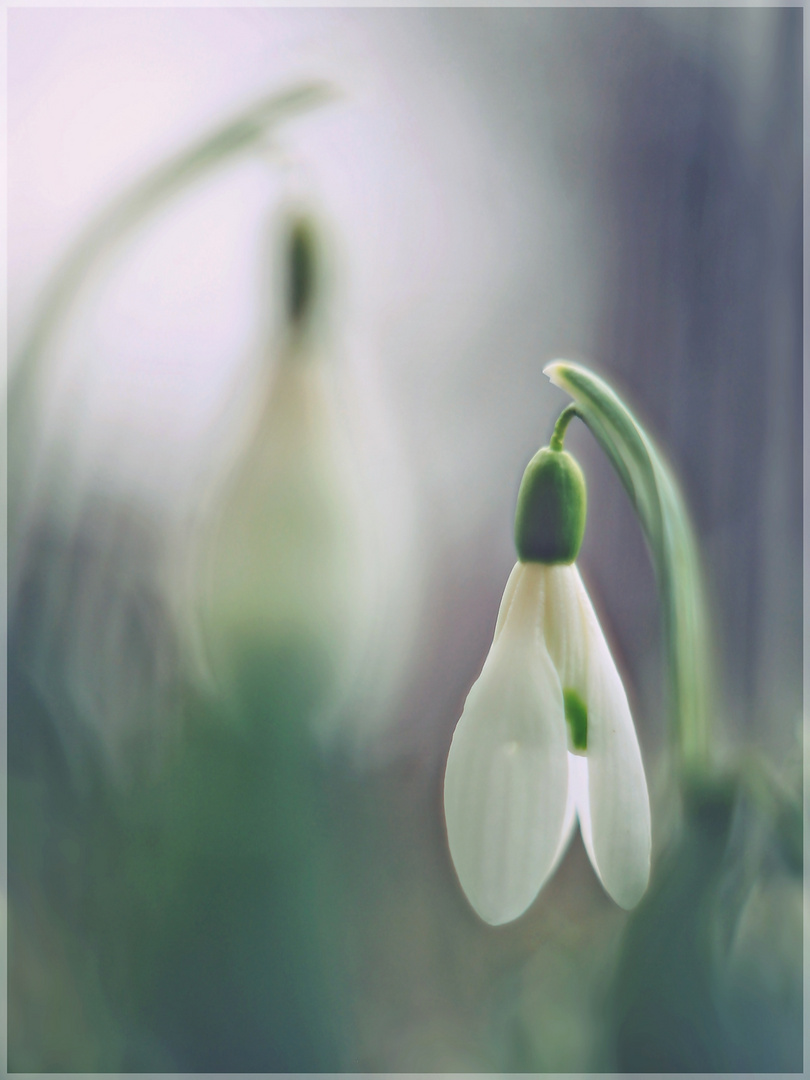 Traum vom Frühling