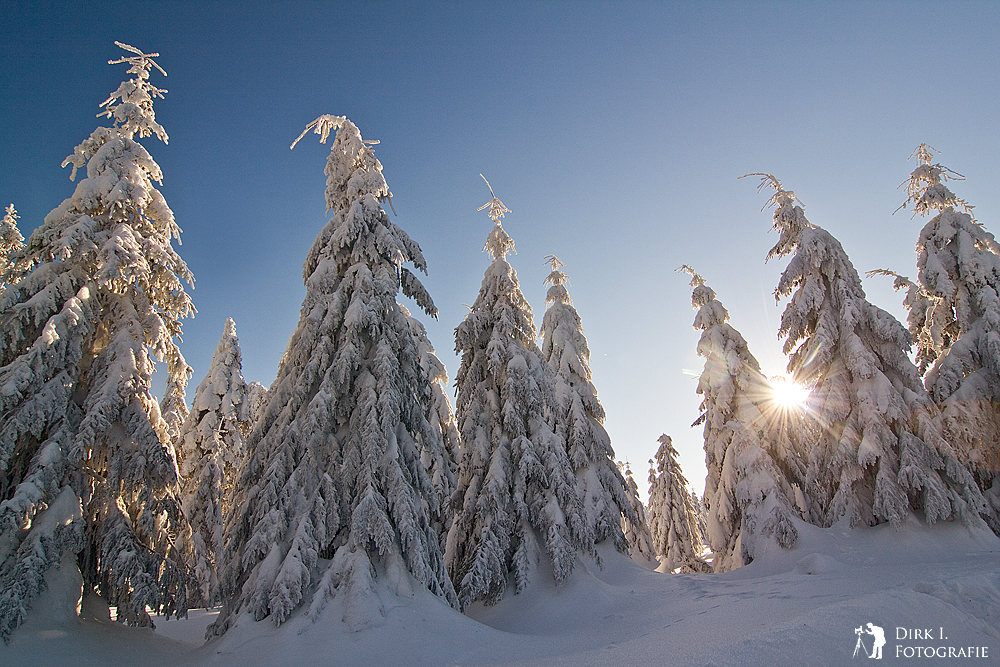 ***Traum vom Winter***