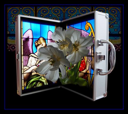 Traum von Schönheit