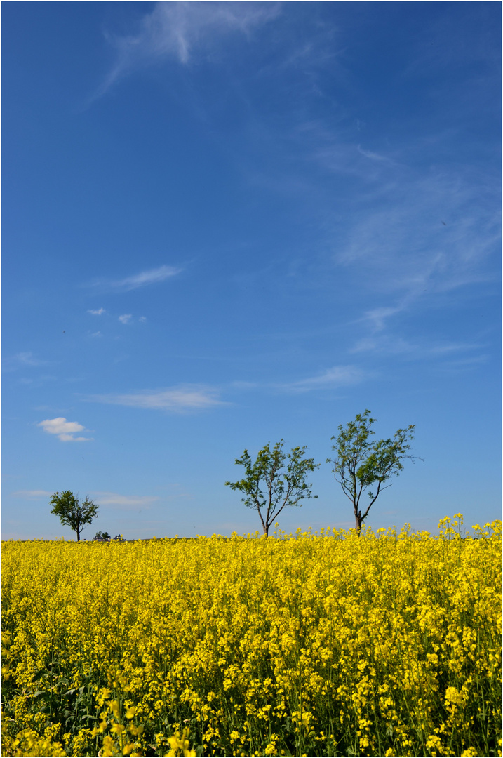 Traum-Wetter