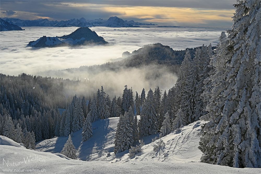 Traum-Winter - Winter-Traum Foto & Bild | world, kalt, wolken Bilder ...