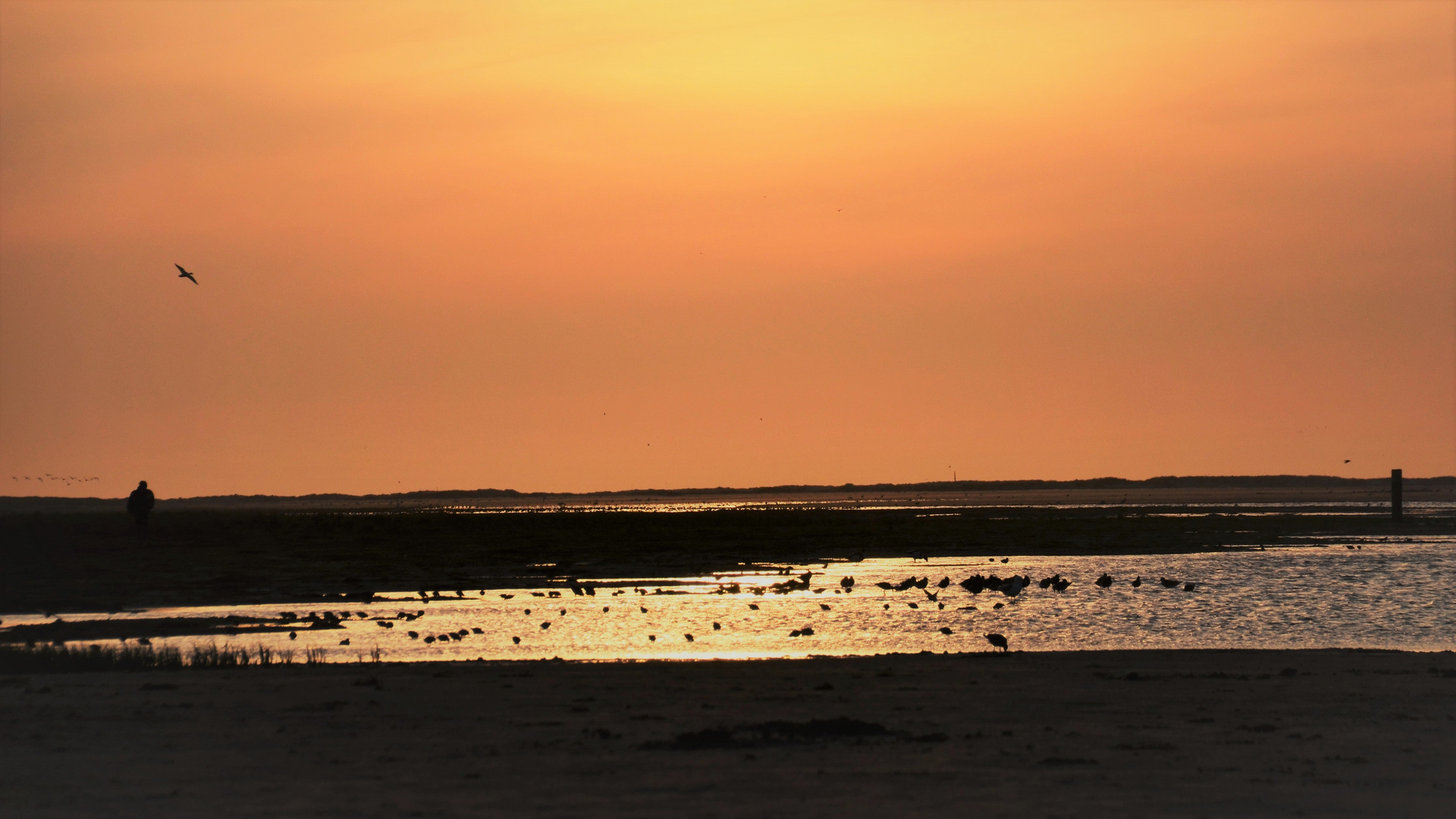 Traumabend am Strand auf Ameland ....