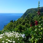 Traumausblick von einem Picknickplatz auf São Miguel der größten Insel der Azoren