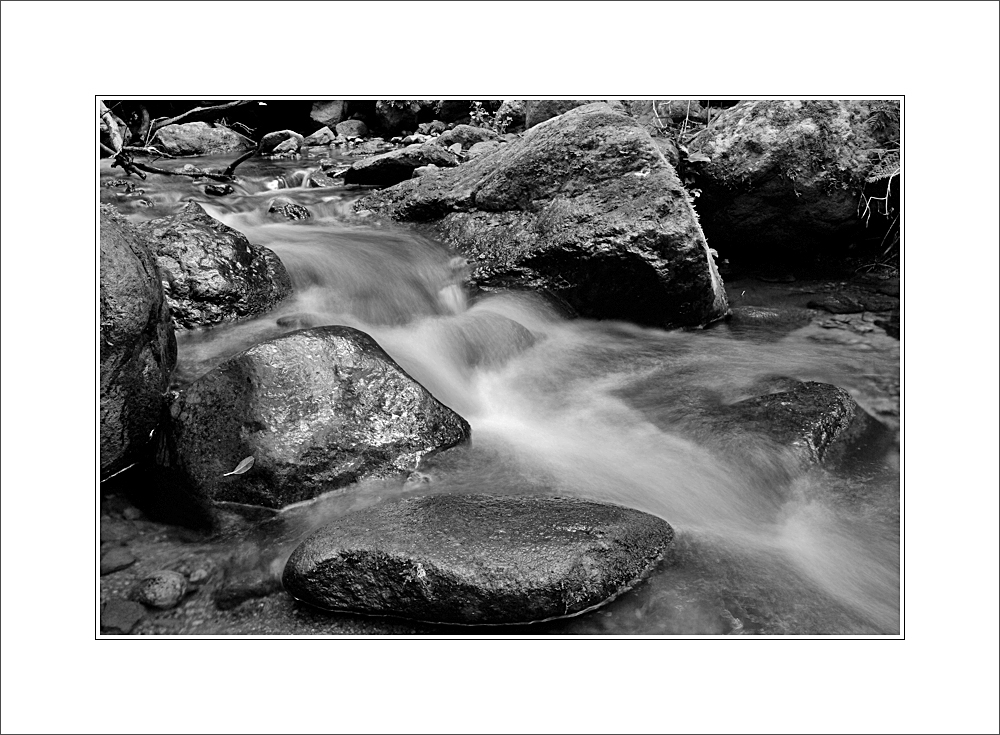 traumbach im zauberwald auf la gomera