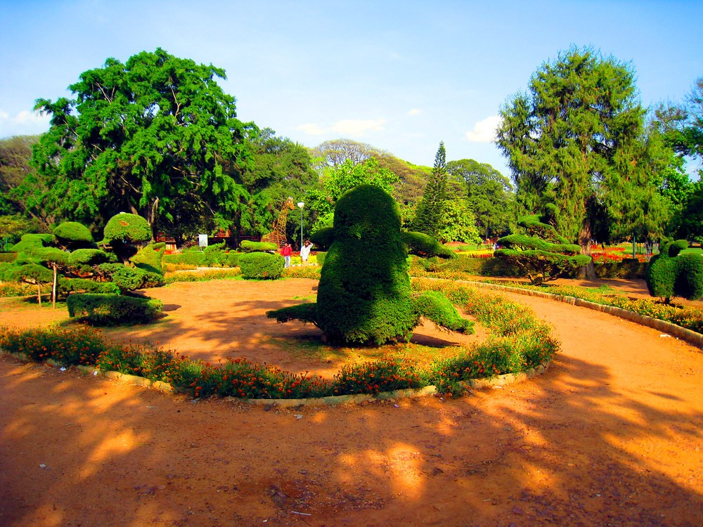 Traumgarten Foto & Bild | asia, india, south asia Bilder ...