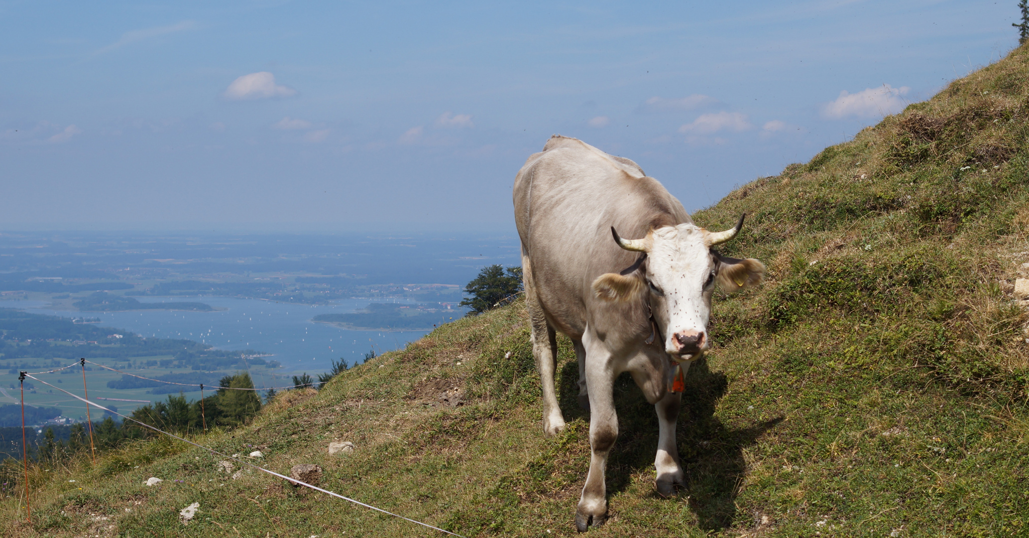 Traumgrundstück mit Blick auf See gefunden