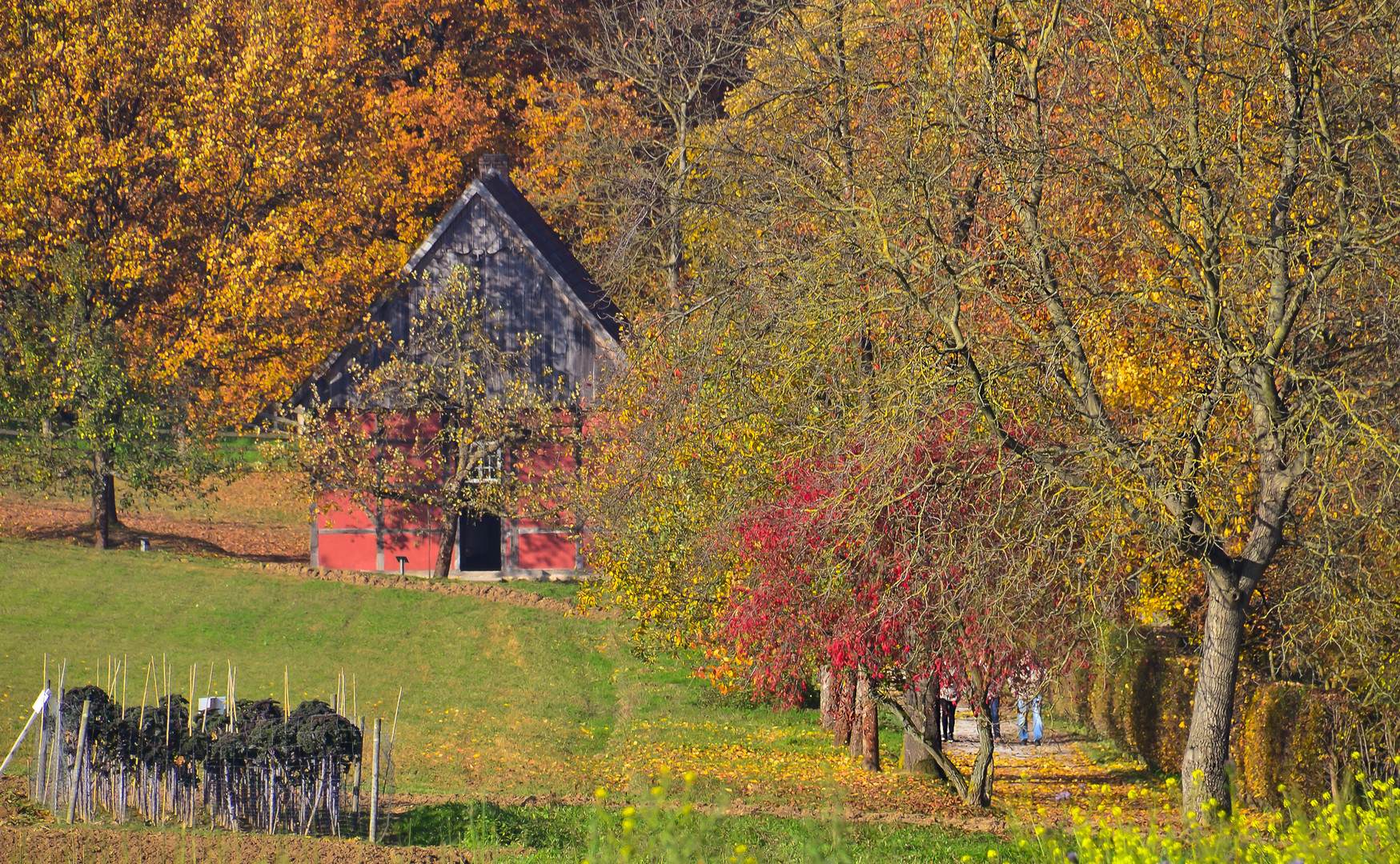 Traumhaft bunter Herbst