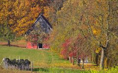 Traumhaft bunter Herbst