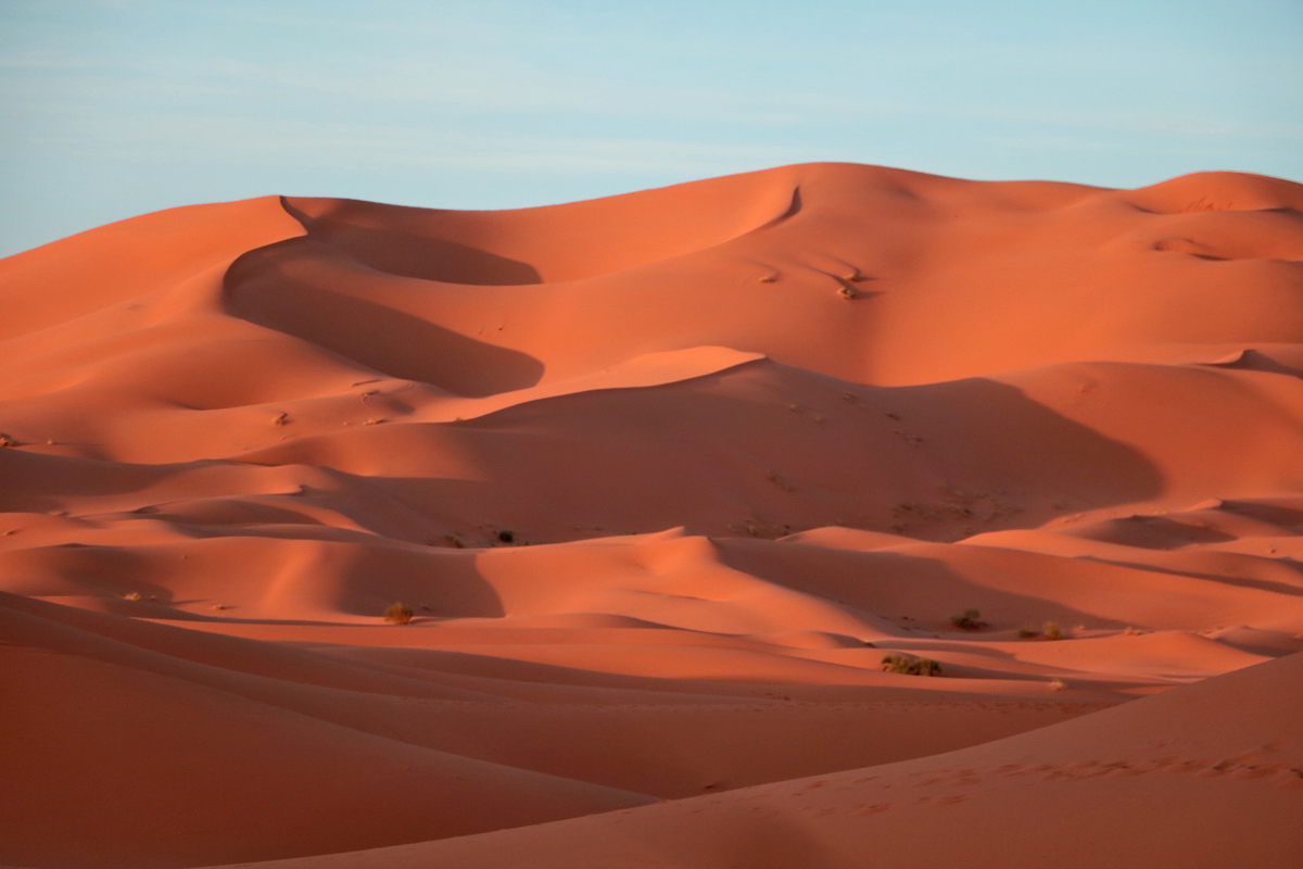 Traumhaft! - Die großen Dünen im Abendlicht. Sahara/Marokko